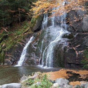 Meet your Posher, Brenda